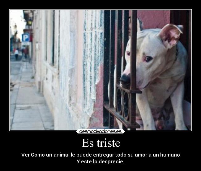 Es triste - 