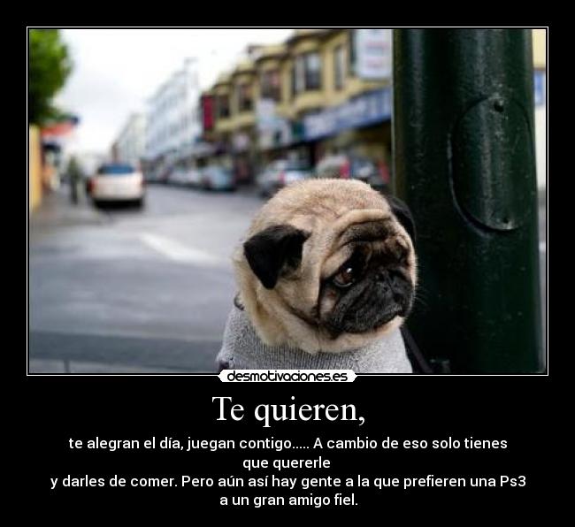 Te quieren, - te alegran el día, juegan contigo..... A cambio de eso solo tienes que quererle
y darles de comer. Pero aún así hay gente a la que prefieren una Ps3
a un gran amigo fiel.