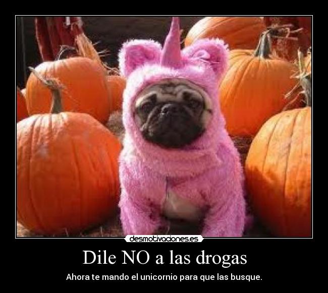 carteles drogas unicornio desmotivaciones