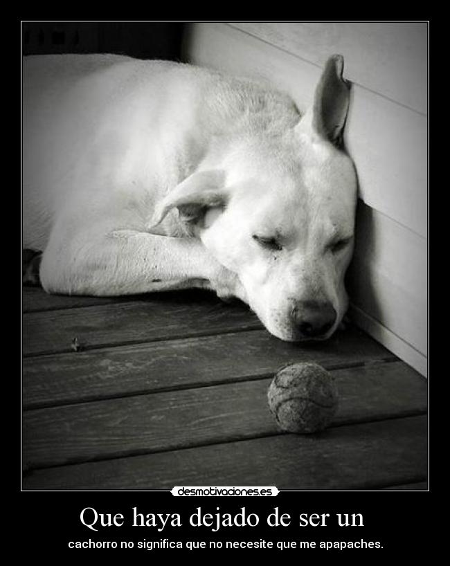 Que haya dejado de ser un -