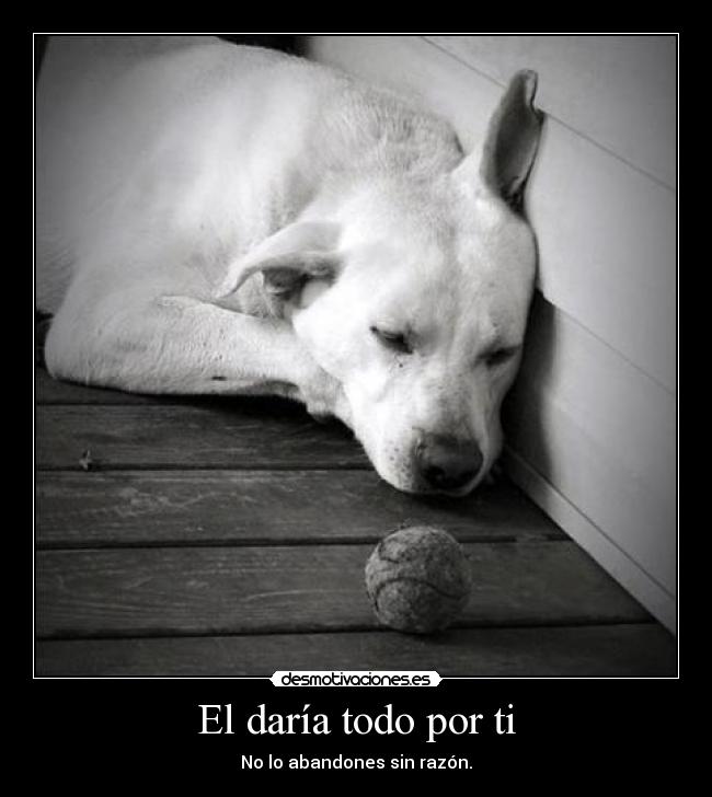 carteles juega con desmotivaciones