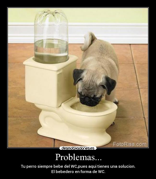 Problemas... - Tu perro siempre bebe del WC,pues aqui tienes una solucion.
El bebedero en forma de WC.