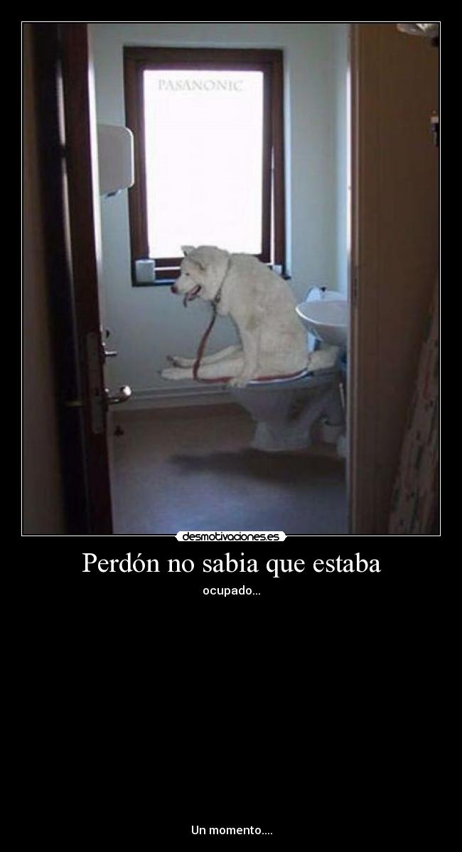 Perdón no sabia que estaba - 