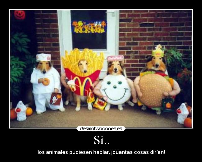 Si.. - los animales pudiesen hablar, ¡cuantas cosas dirían!