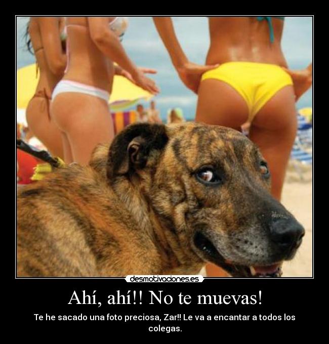 Ahí, ahí!! No te muevas! - Te he sacado una foto preciosa, Zar!! Le va a encantar a todos los colegas.