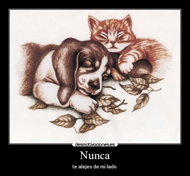 Nunca - te alejes de mi lado 