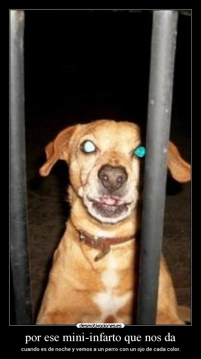 por ese mini-infarto que nos da - 
