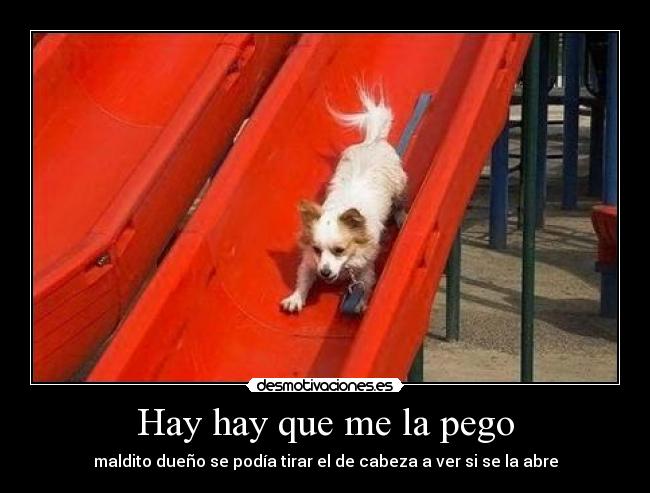 Hay hay que me la pego -