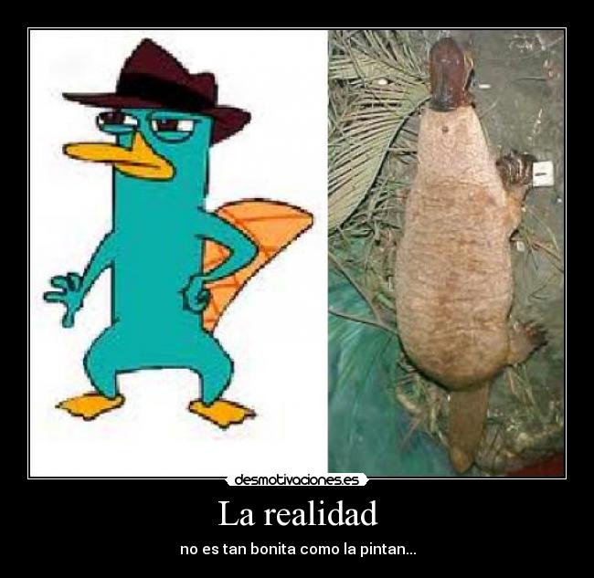 La realidad - 