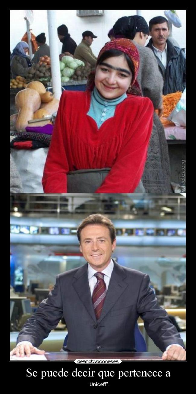 Se puede decir que pertenece a - 