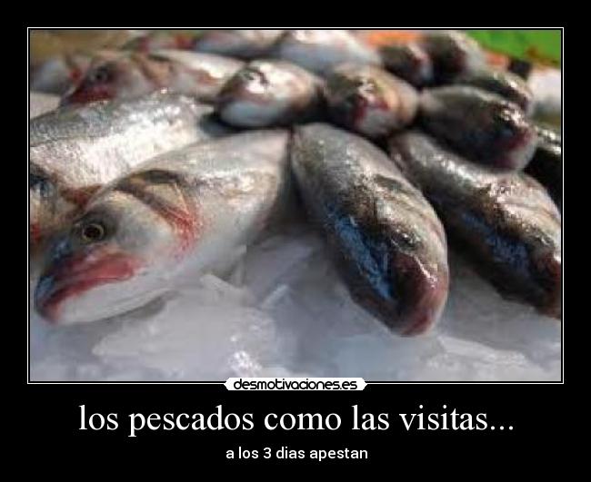 los pescados como las visitas... - a los 3 dias apestan