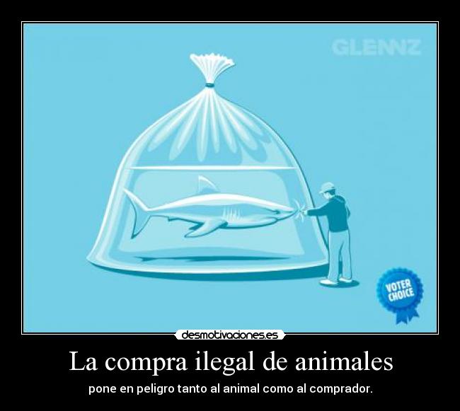 carteles animales compra ilegal animales imprudencia desmotivaciones