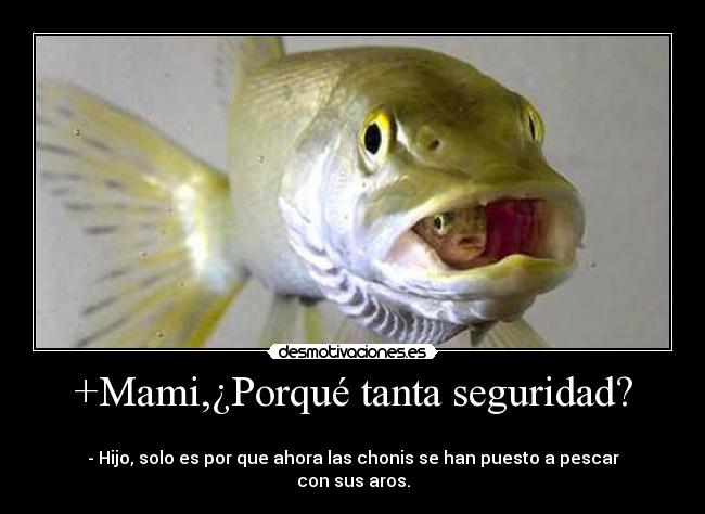 +Mami,¿Porqué tanta seguridad? - 