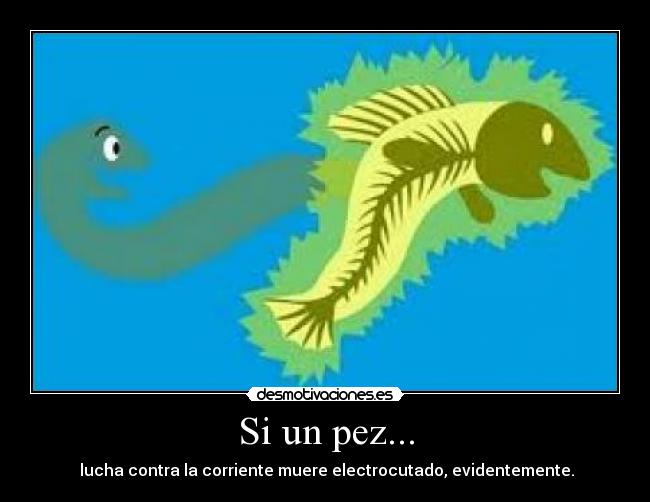 Si un pez... -