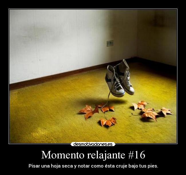 Momento relajante #16 - Pisar una hoja seca y notar como ésta cruje bajo tus pies.