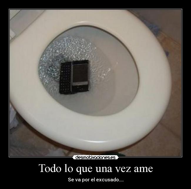 Todo lo que una vez ame - Se va por el excusado....