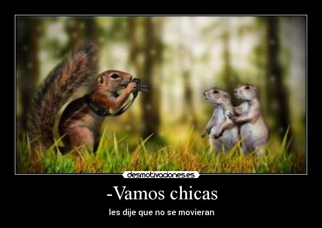 carteles sonrie nato nato2011 ardillas ardilla desmotivaciones