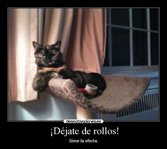 ¡Déjate de rollos! - Dime la oferta.