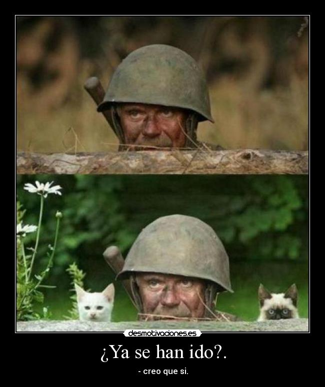 ¿Ya se han ido?. - 