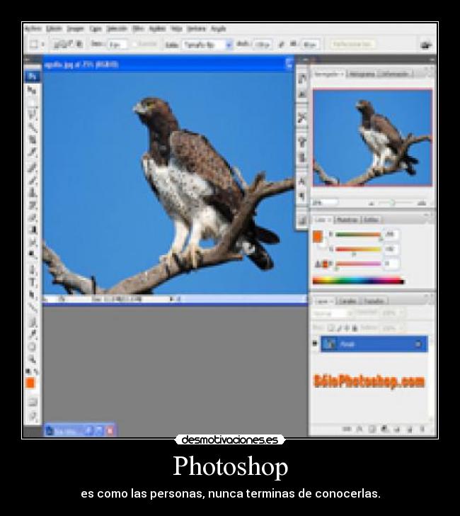 Photoshop - es como las personas, nunca terminas de conocerlas.