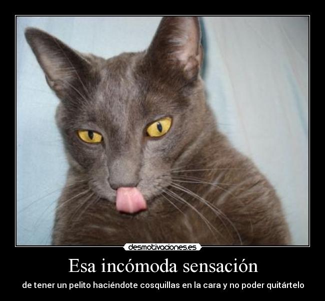 Esa incómoda sensación -