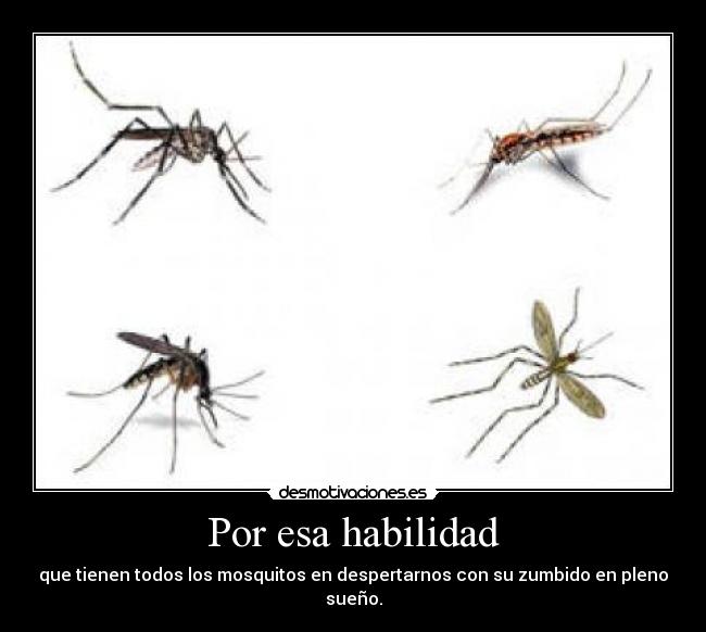 carteles whololooooo desmotivaciones