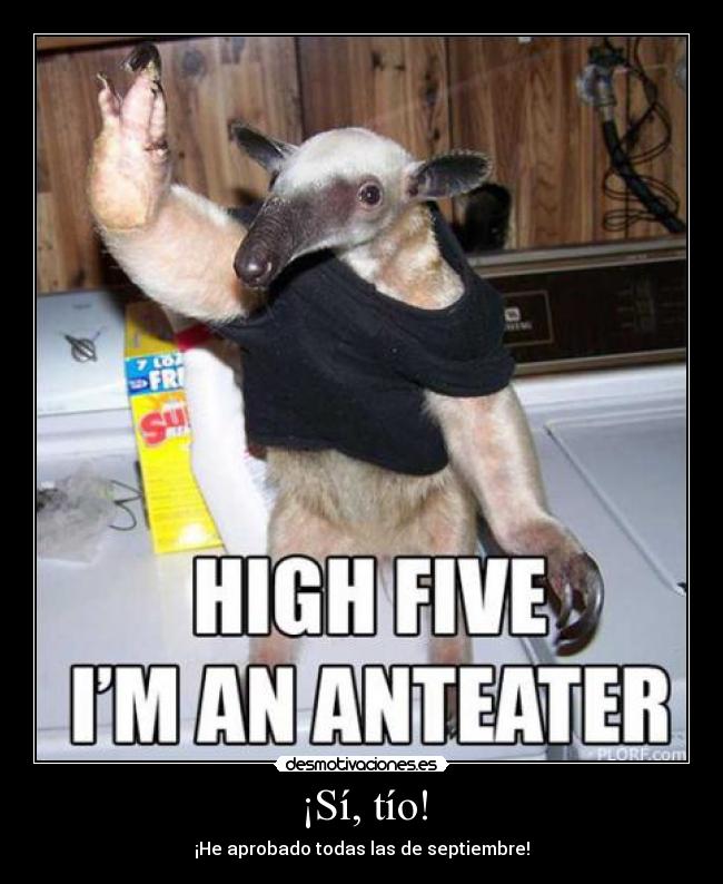 ¡Sí, tío! - ¡He aprobado todas las de septiembre!