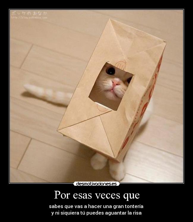 carteles cartelesmalosaqui dedico cartel porque quiero mas que mismo desmotivaciones