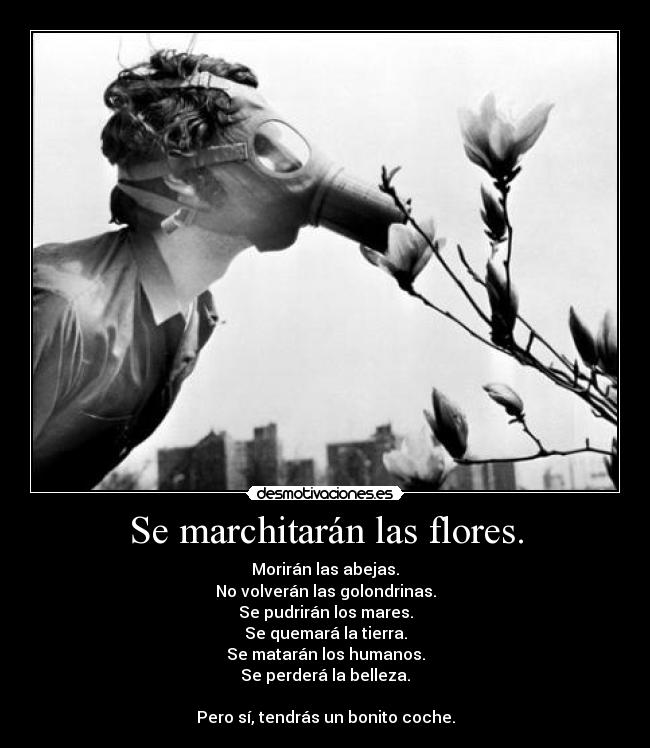 Se marchitarán las flores. - 