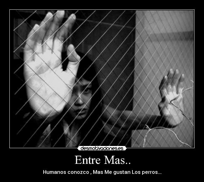 Entre Mas.. -