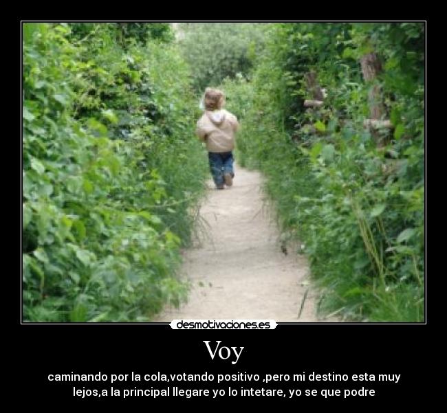 Voy -