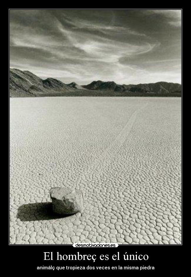 El hombreç es el único -