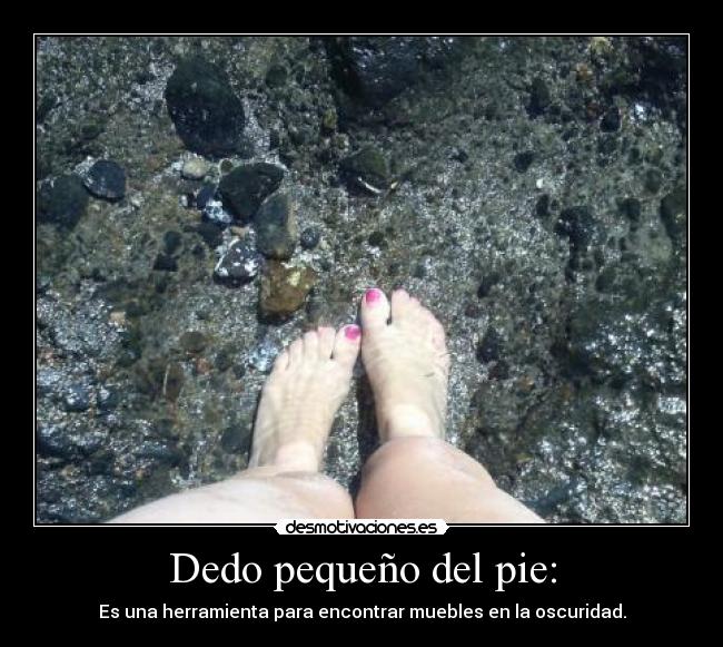 Dedo pequeño del pie: - 