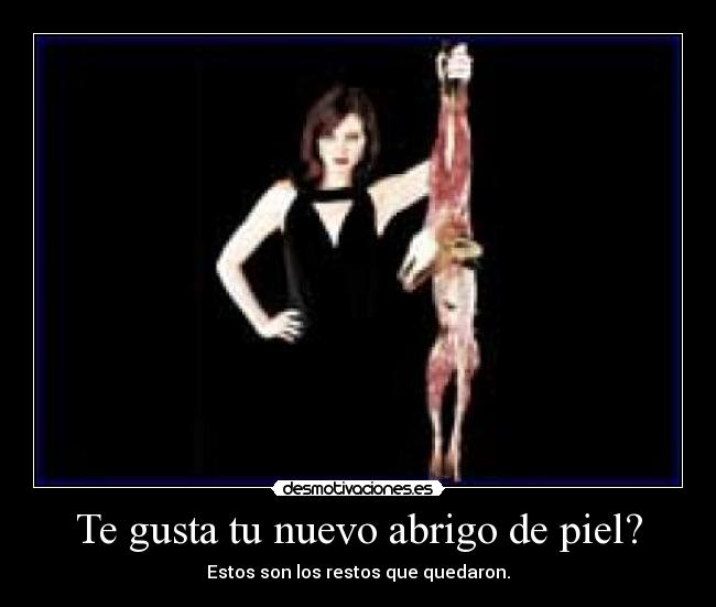 Te gusta tu nuevo abrigo de piel? - Estos son los restos que quedaron.