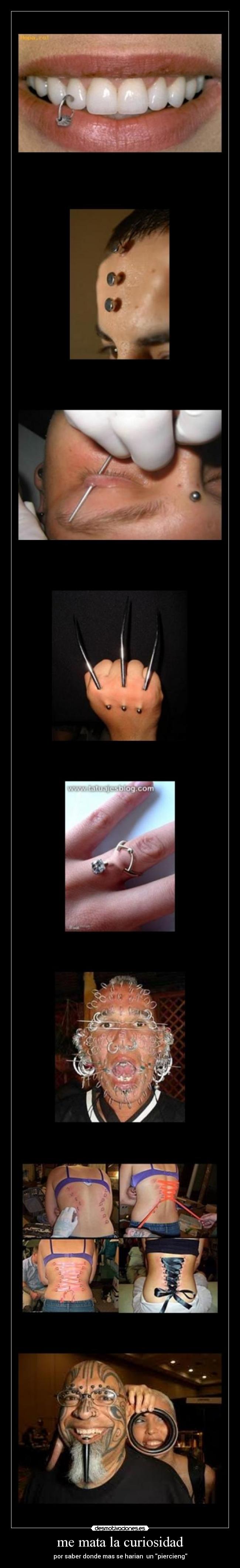 me mata la curiosidad -