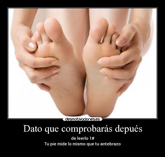 Dato que comprobarás depués - de leerlo 1#
Tu pie mide lo mismo que tu antebrazo
