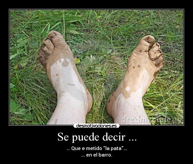 Se puede decir ... - ... Que e metido la pata...
... en el barro.