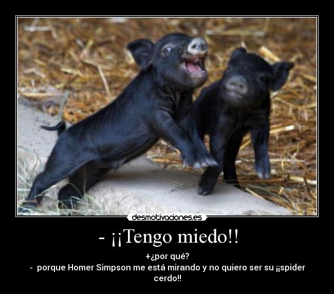 - ¡¡Tengo miedo!! - +¿por qué?
-  porque Homer Simpson me está mirando y no quiero ser su ¡¡spider cerdo!!