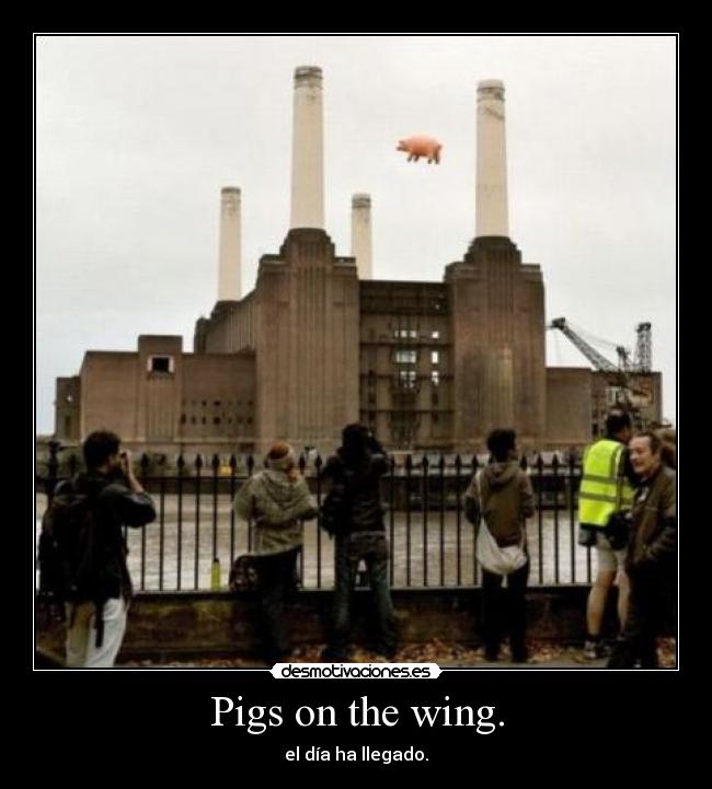 Pigs on the wing. - 