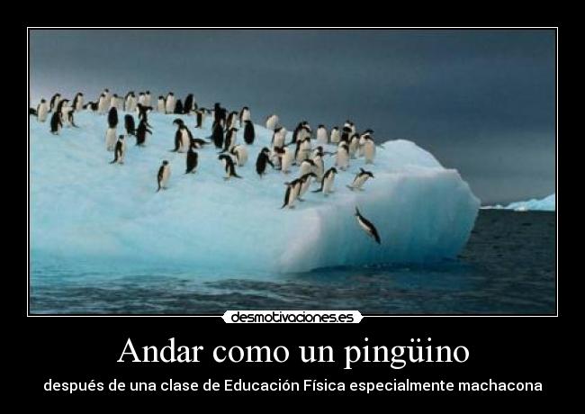 Andar como un pingüino - después de una clase de Educación Física especialmente machacona