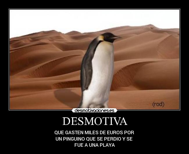 DESMOTIVA - QUE GASTEN MILES DE EUROS POR
UN PINGUINO QUE SE PERDIO Y SE
FUE A UNA PLAYA