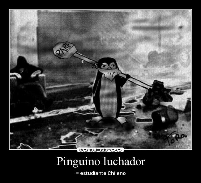 Pinguino luchador -