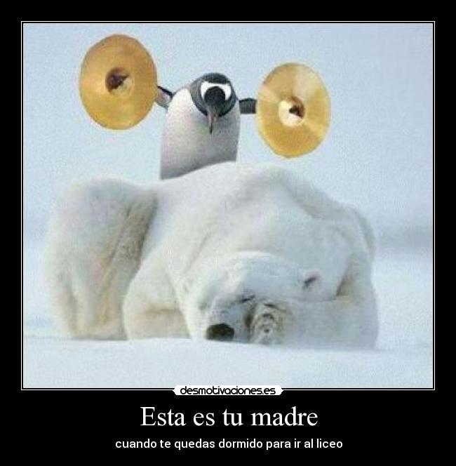 carteles madre dormido desmotivaciones