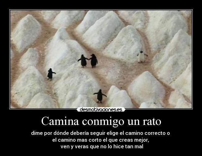 Camina conmigo un rato - dime por dónde debería seguir elige el camino correcto o
el camino mas corto el que creas mejor,
ven y veras que no lo hice tan mal