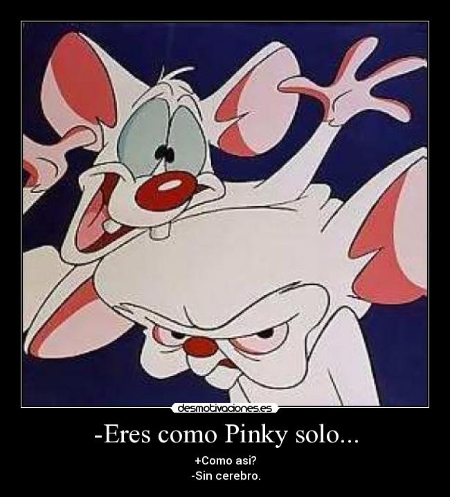 -Eres como Pinky solo... - +Como asi?
-Sin cerebro.