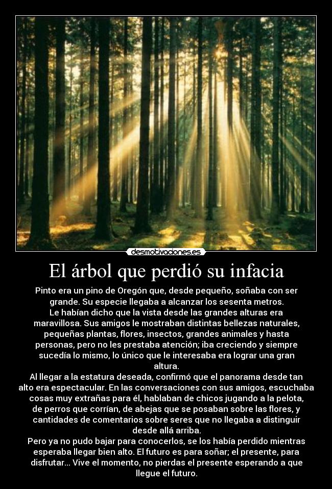 El árbol que perdió su infacia - Pinto era un pino de Oregón que, desde pequeño, soñaba con ser
grande. Su especie llegaba a alcanzar los sesenta metros.
Le habían dicho que la vista desde las grandes alturas era
maravillosa. Sus amigos le mostraban distintas bellezas naturales,
pequeñas plantas, flores, insectos, grandes animales y hasta
personas, pero no les prestaba atención; iba creciendo y siempre
sucedía lo mismo, lo único que le interesaba era lograr una gran
altura.
Al llegar a la estatura deseada, confirmó que el panorama desde tan
alto era espectacular. En las conversaciones con sus amigos, escuchaba
cosas muy extrañas para él, hablaban de chicos jugando a la pelota,
de perros que corrían, de abejas que se posaban sobre las flores, y
cantidades de comentarios sobre seres que no llegaba a distinguir
desde allá arriba.
Pero ya no pudo bajar para conocerlos, se los había perdido mientras
esperaba llegar bien alto. El futuro es para soñar; el presente, para
disfrutar... Vive el momento, no pierdas el presente esperando a que
llegue el futuro.