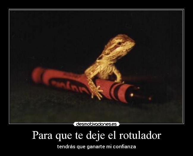 carteles hopesolo desmotivaciones