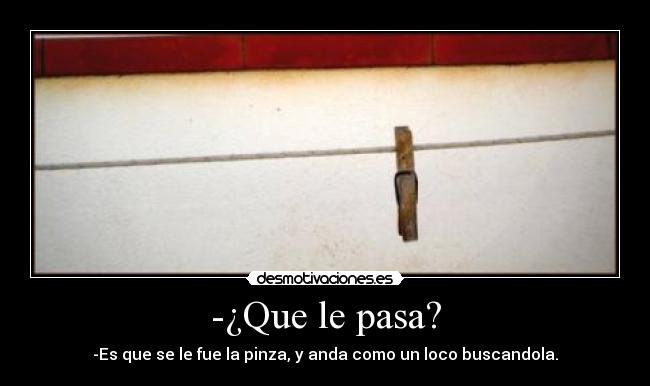 -¿Que le pasa? - -Es que se le fue la pinza, y anda como un loco buscandola.