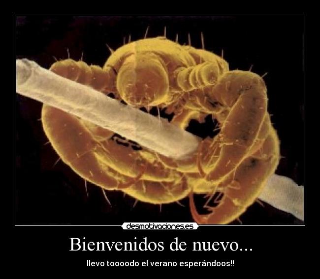 Bienvenidos de nuevo... - llevo toooodo el verano esperándoos!!