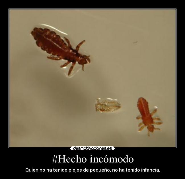 #Hecho incómodo -